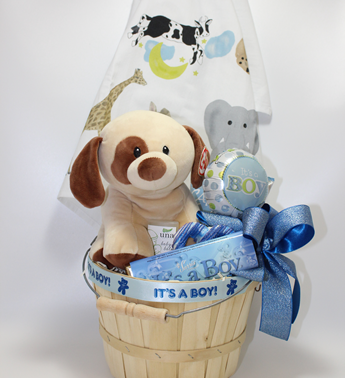 The best new baby gifts in Pittsburgh. Baby Boy gifts. Baby Girl gifts. The most creative gift baskets for new parents and babies in Pittsburgh. Local delivery available.