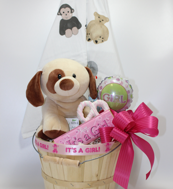 The best new baby gifts in Pittsburgh. Baby Boy gifts. Baby Girl gifts. The most creative gift baskets for new parents and babies in Pittsburgh. Local delivery available.